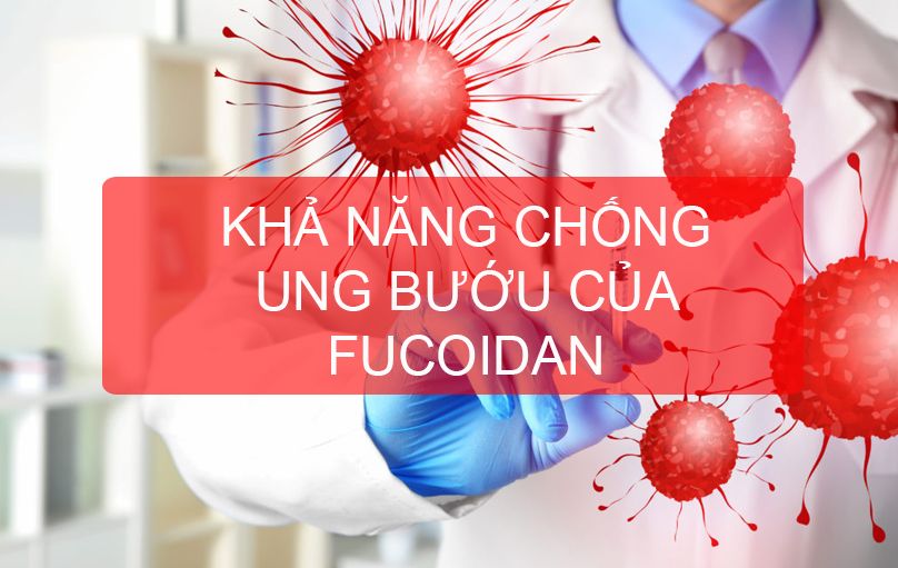 Fucoidan đã tiêu diệt các tế bào ung thư như thế nào?