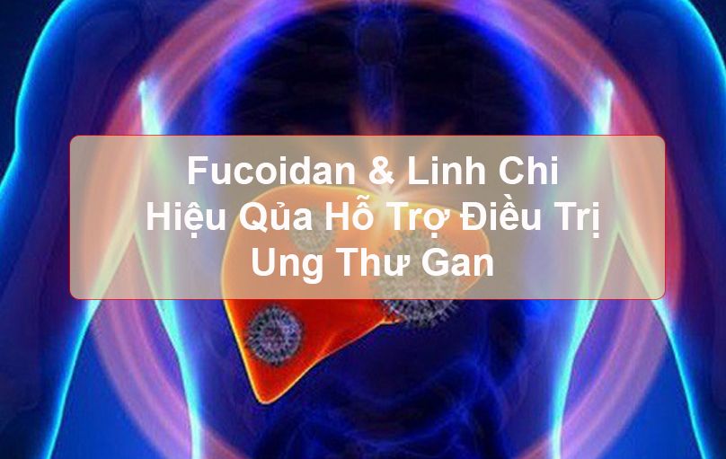 Fucoidan kết hợp Nấm linh chi cho tác dụng tích cực trong việc điều trị ung thư gan.